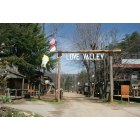 Carolyn Bessette-Kennedy: Style Icon, Royal Romance, Tragic End